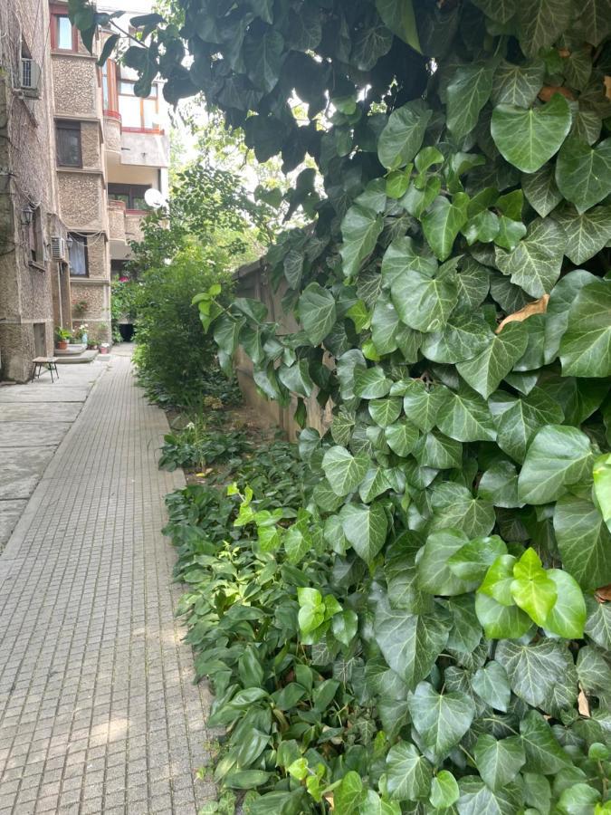 Old City Centre - Unforgettable House 부쿠레슈티 외부 사진
